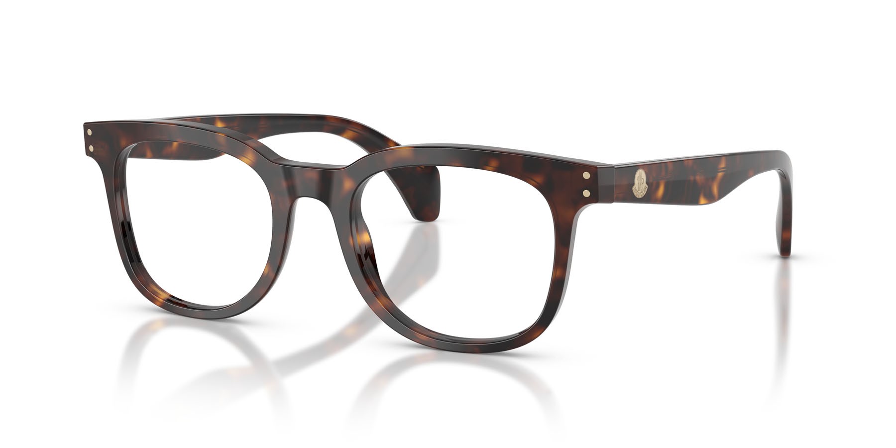 Eyeglasses Moncler ME 2023 (3002) color havana lucido shape pantos lenses lente demo