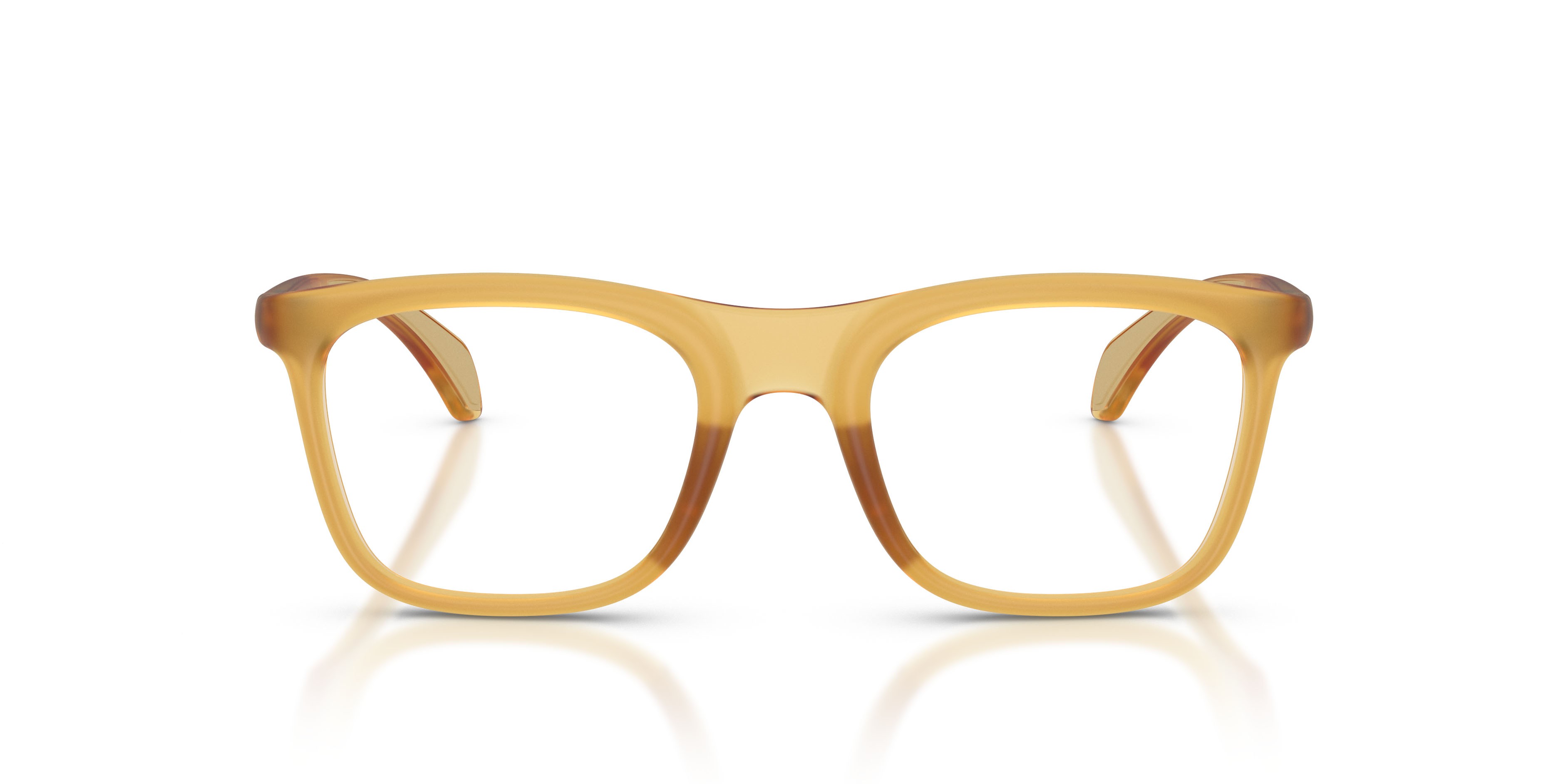 Eyeglasses Moncler ME 3005U (5044) color burro trasparente shape square lenses lente demo