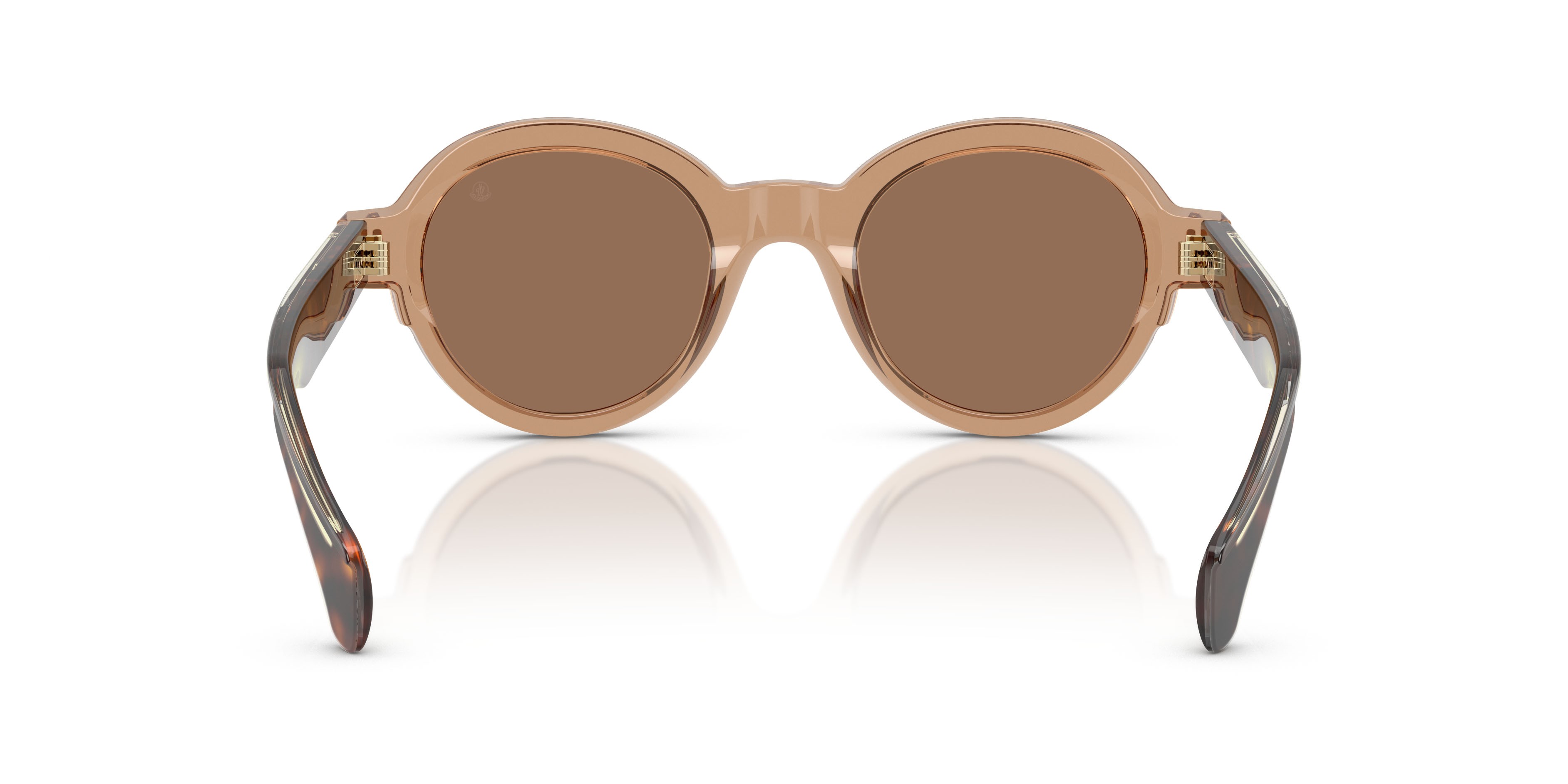 Occhiali da sole Moncler Rondosa ME 6003 (303773) colore marrone trasparente lucido forma rotondo lenti marrone scuro