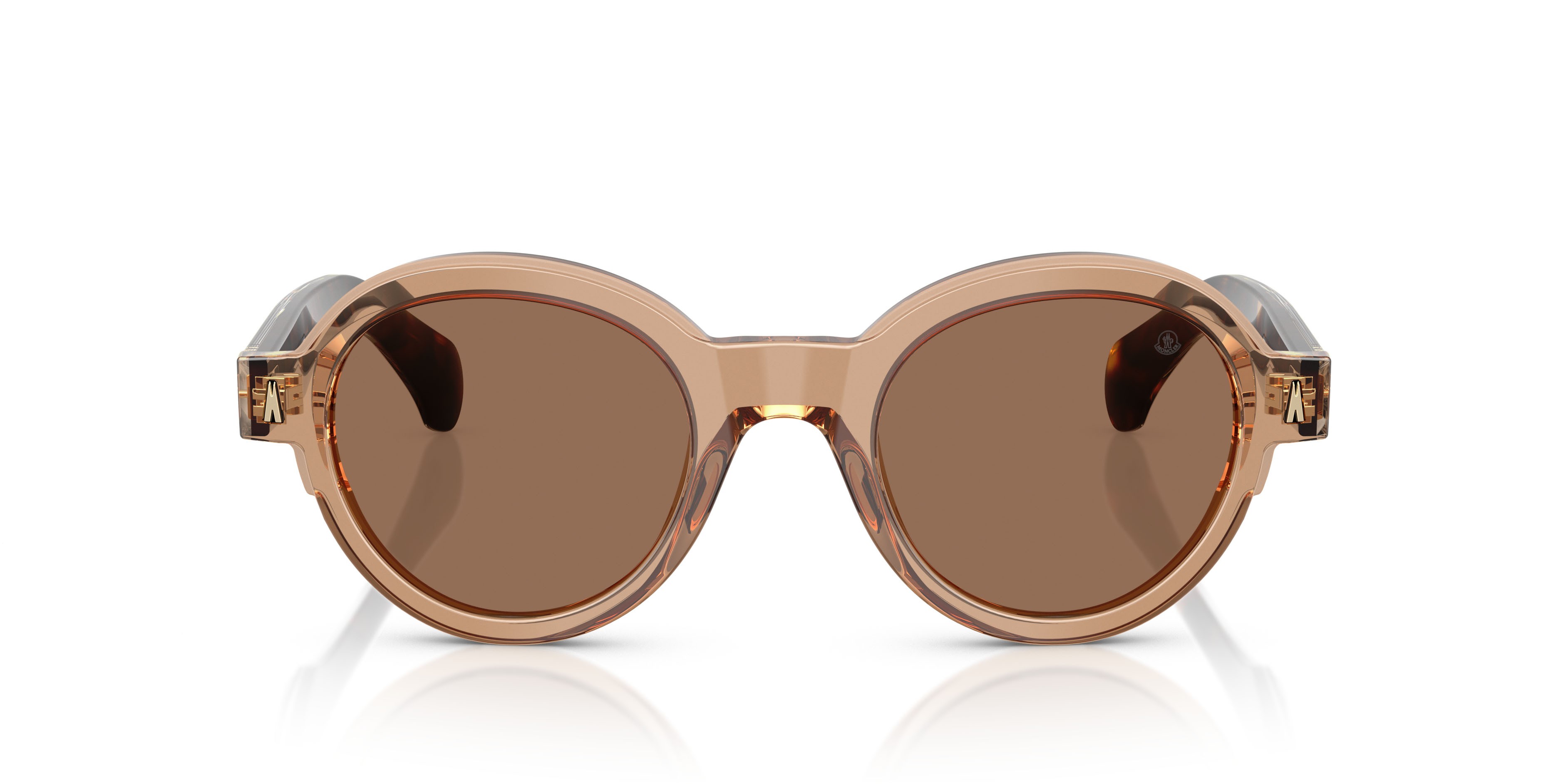 Occhiali da sole Moncler Rondosa ME 6003 (303773) colore marrone trasparente lucido forma rotondo lenti marrone scuro