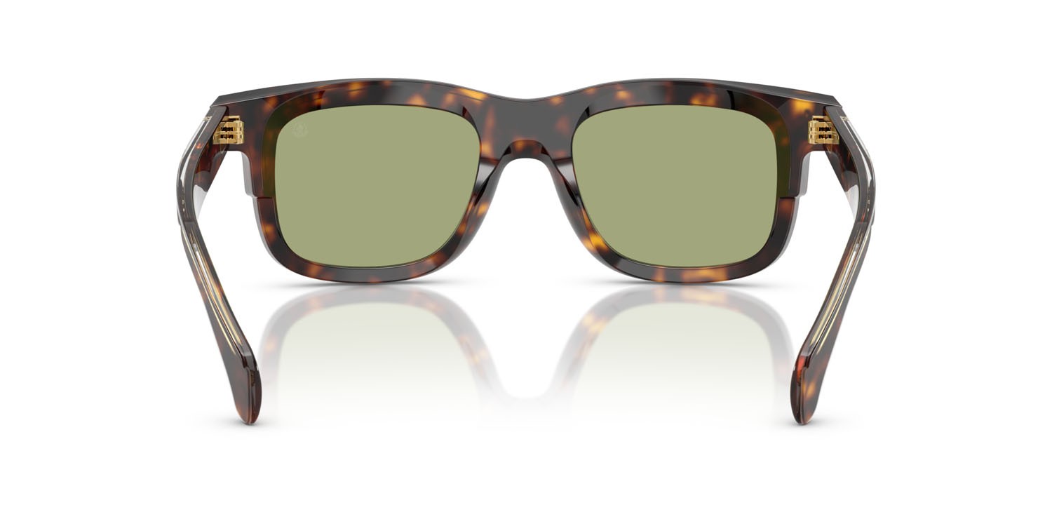 Sunglasses Moncler Claro ME 6004 (300282) color tartarugato marrone shape square lenses verde