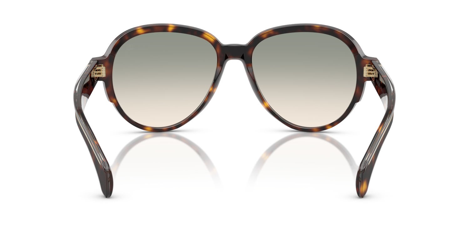 Occhiali da sole Moncler Swanspan ME 6005 (30022A) colore tartarugato marrone forma aviator lenti marrone chiaro sfumato verde chiaro