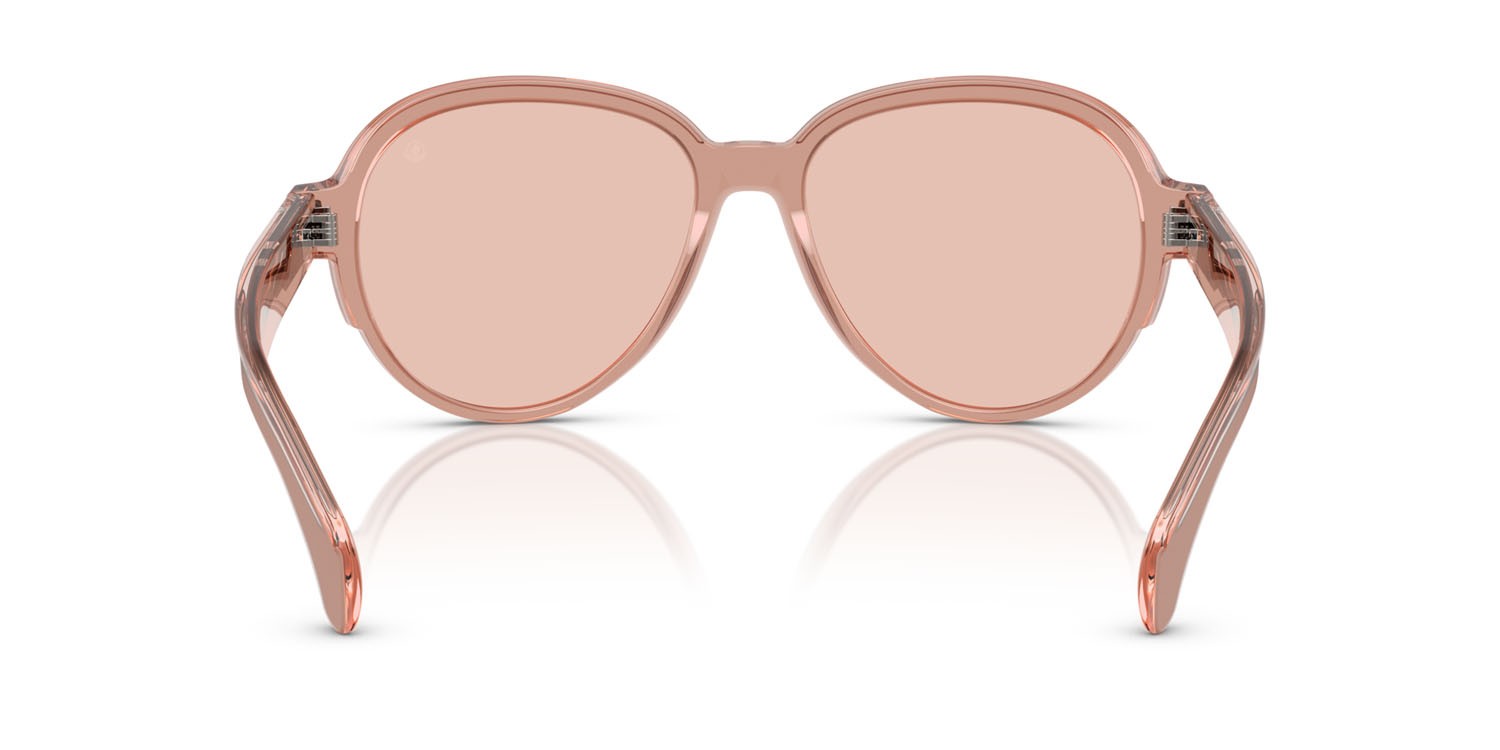 Occhiali da sole Moncler Swanspan ME 6005 (300884) colore rosa trasparente forma aviator lenti rosa