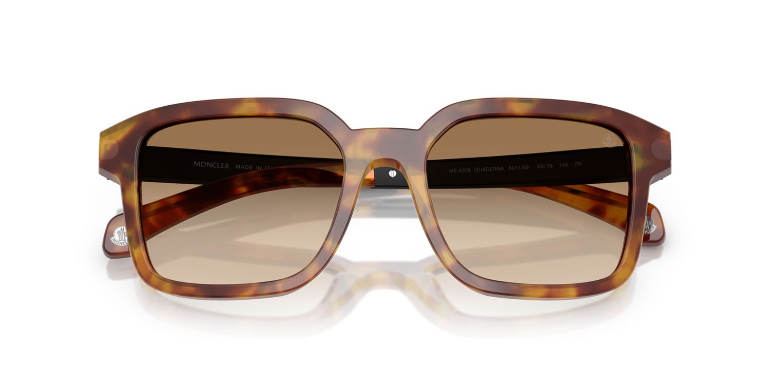 Sunglasses Moncler Quaderna ME 6006 (301189) color havana miele shape square lenses marrone chiaro sfumato marrone