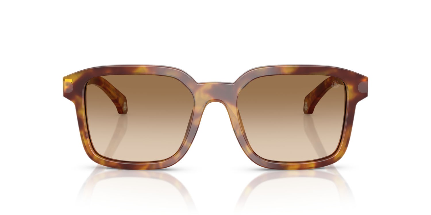 Sunglasses Moncler Quaderna ME 6006 (301189) color havana miele shape square lenses marrone chiaro sfumato marrone