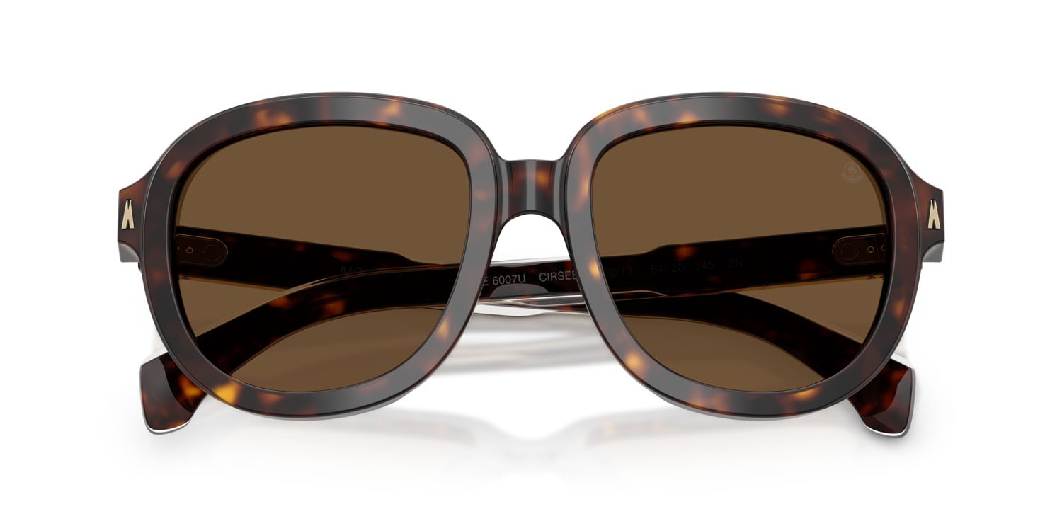 Occhiali da sole Moncler Cirsee ME 6007U (300273) colore havana scuro lucido forma aviator lenti marrone tinta unita
