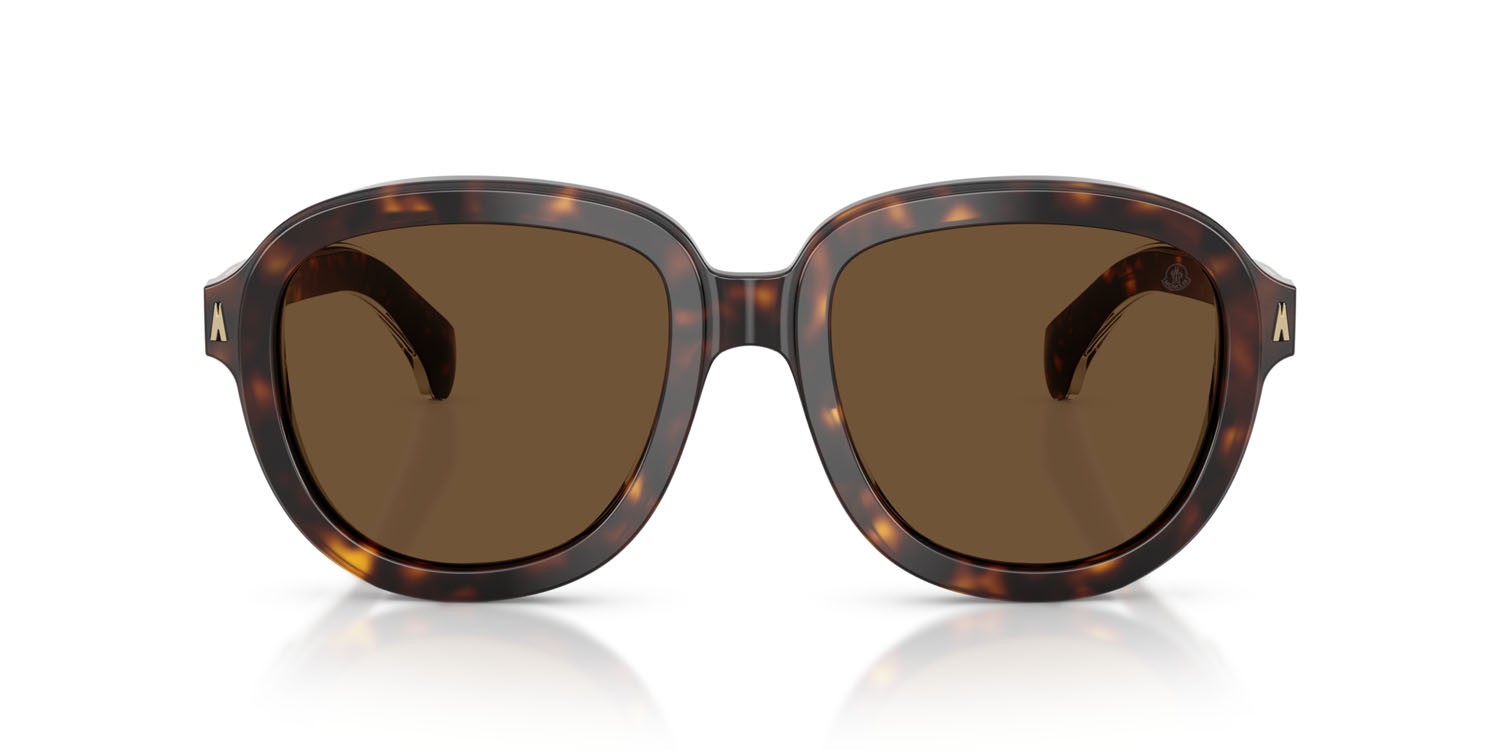 Occhiali da sole Moncler Cirsee ME 6007U (300273) colore havana scuro lucido forma aviator lenti marrone tinta unita