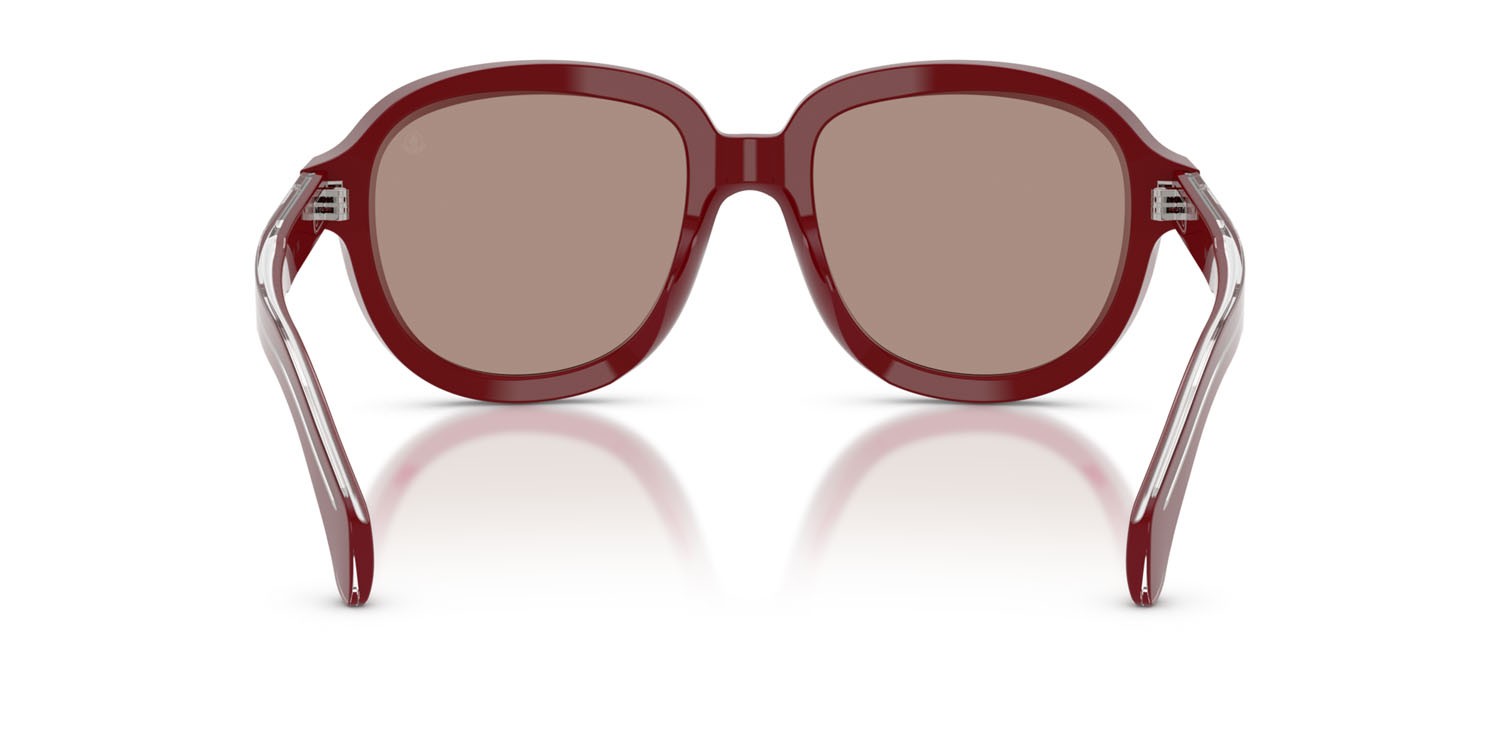 Occhiali da sole Moncler Cirsee ME 6007U (301675) colore bordeaux lucido forma aviator lenti rosso scuro tinta unita