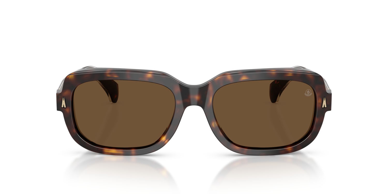 Occhiali da sole Moncler Suntrap ME 6008 (300273) colore havana scuro lucido forma quadrato lenti marrone tinta unita
