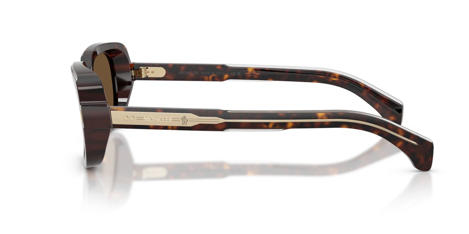 Occhiali da sole Moncler Suntrap ME 6008 (300273) colore havana scuro lucido forma quadrato lenti marrone tinta unita