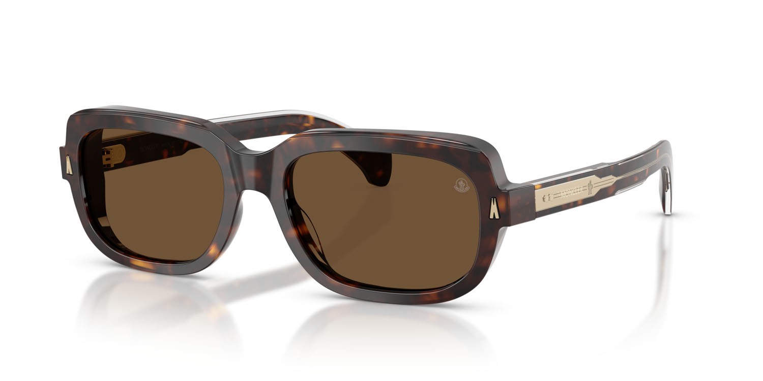 Occhiali da sole Moncler Suntrap ME 6008 (300273) colore havana scuro lucido forma quadrato lenti marrone tinta unita