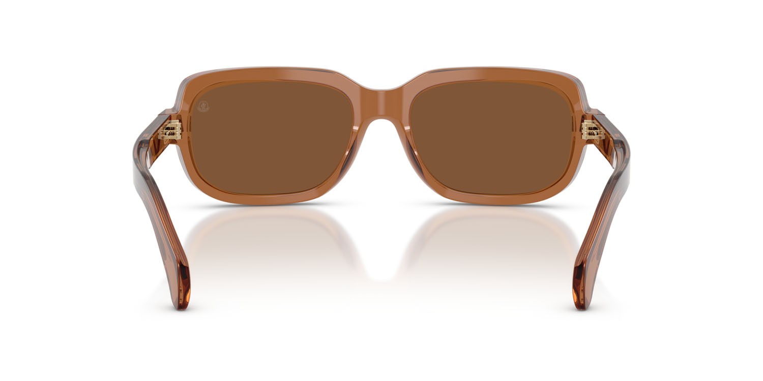 Occhiali da sole Moncler Suntrap ME 6008 (3017/3) colore cognac lucido trasparente forma quadrato lenti polarizzata marrone tinta unita