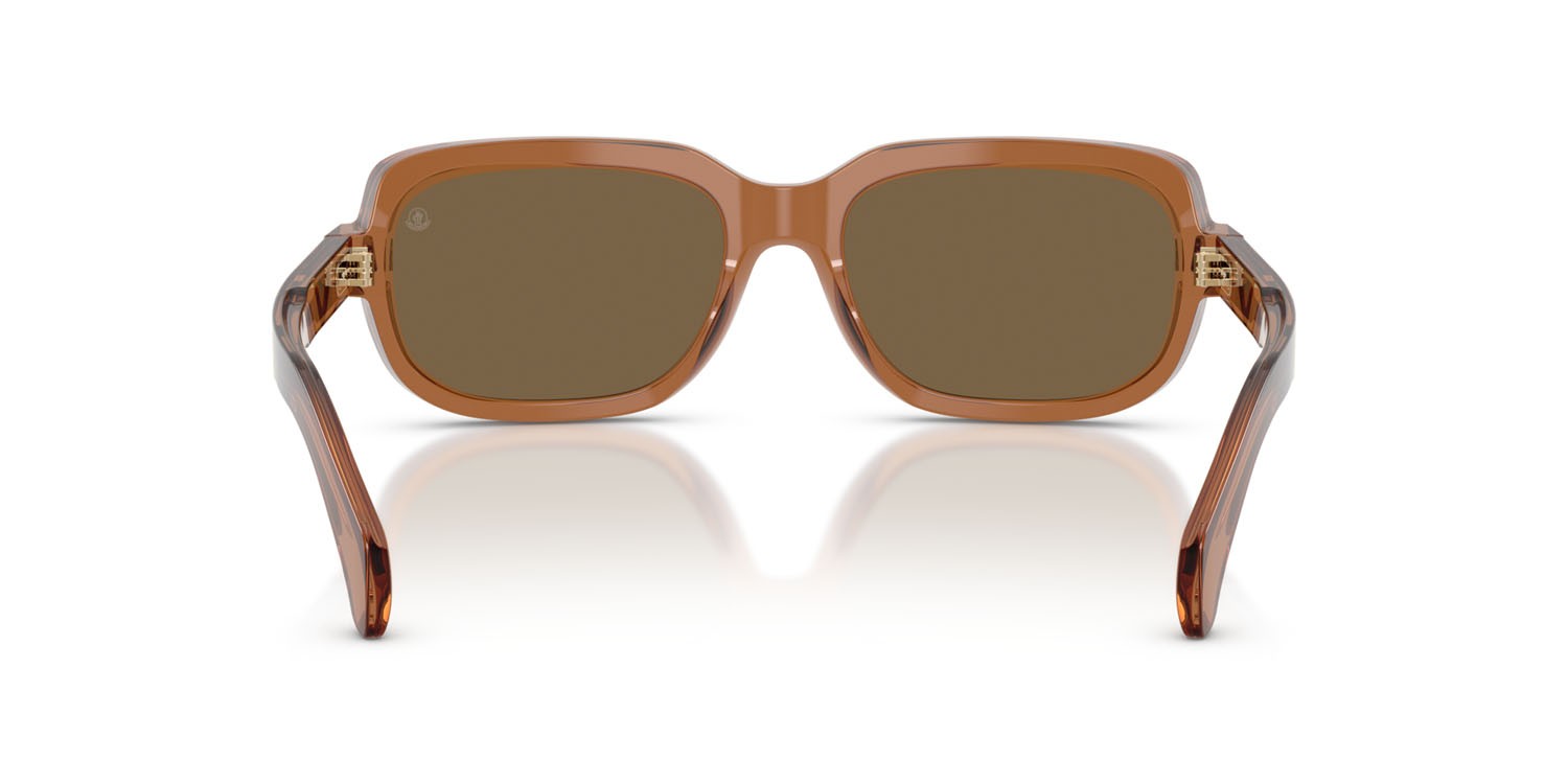 Occhiali da sole Moncler Suntrap ME 6008 (3017F9) colore cognac lucido trasparente forma quadrato lenti marrone specchiato bronzo