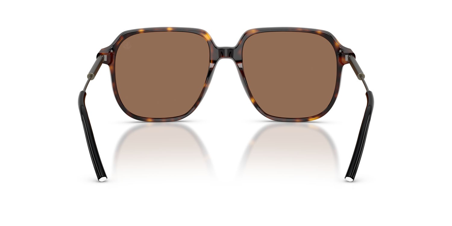 Occhiali da sole Moncler Cylin ME 6010 (300273) colore havana lucido forma aviator lenti marrone tinta unita