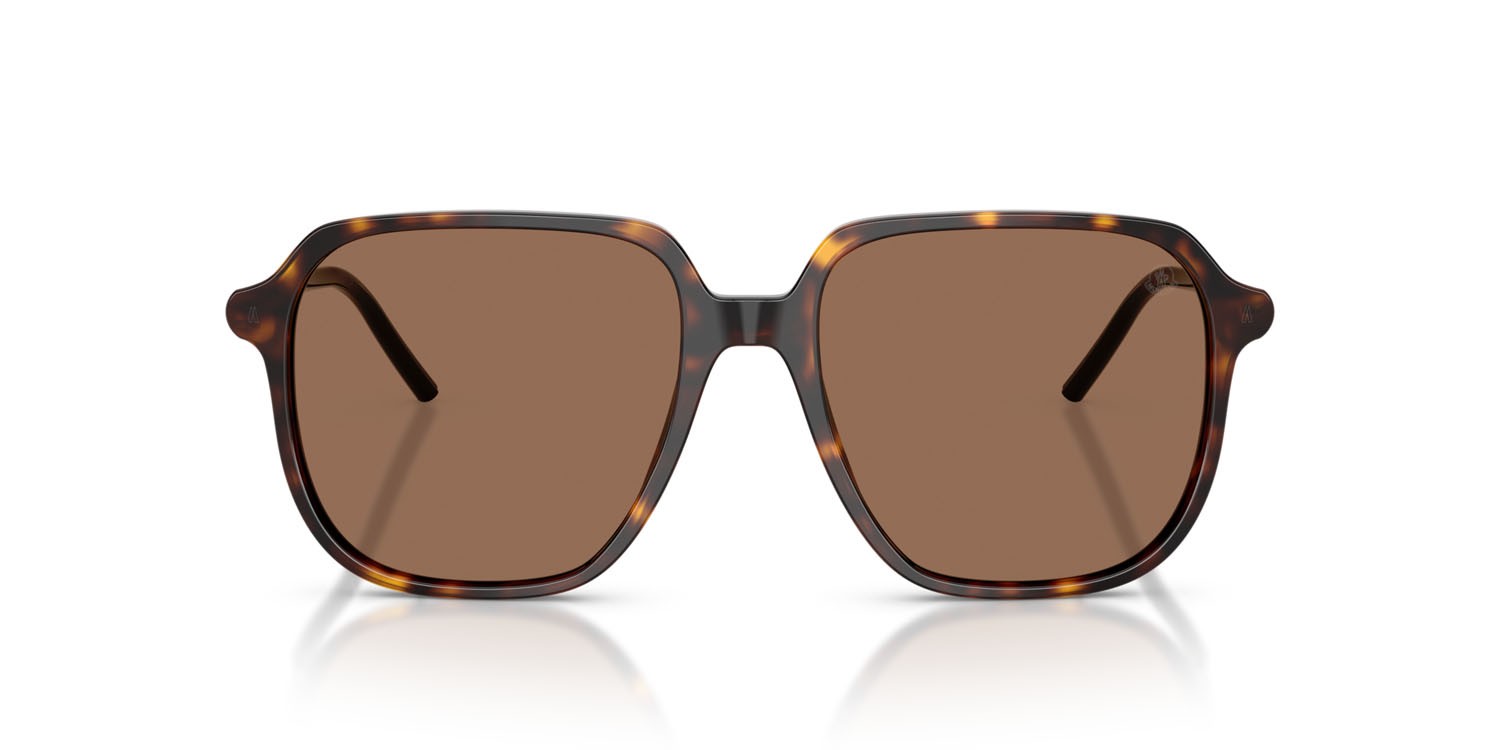 Occhiali da sole Moncler Cylin ME 6010 (300273) colore havana lucido forma aviator lenti marrone tinta unita
