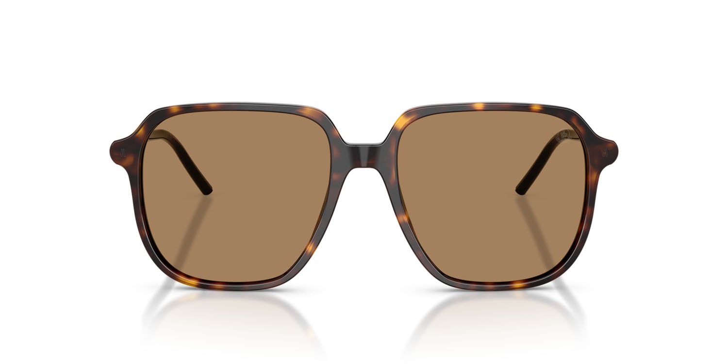 Sunglasses Moncler Cylin ME 6010 (3002M4) color havana lucido shape aviator lenses marrone tinta unita