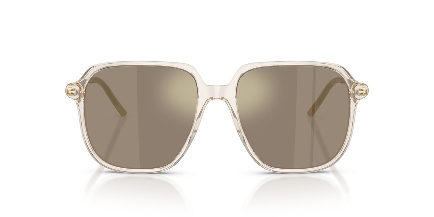 Sunglasses Moncler Cylin ME 6010 (30035A) color burro lucido trasparente shape aviator lenses mirror brown gold