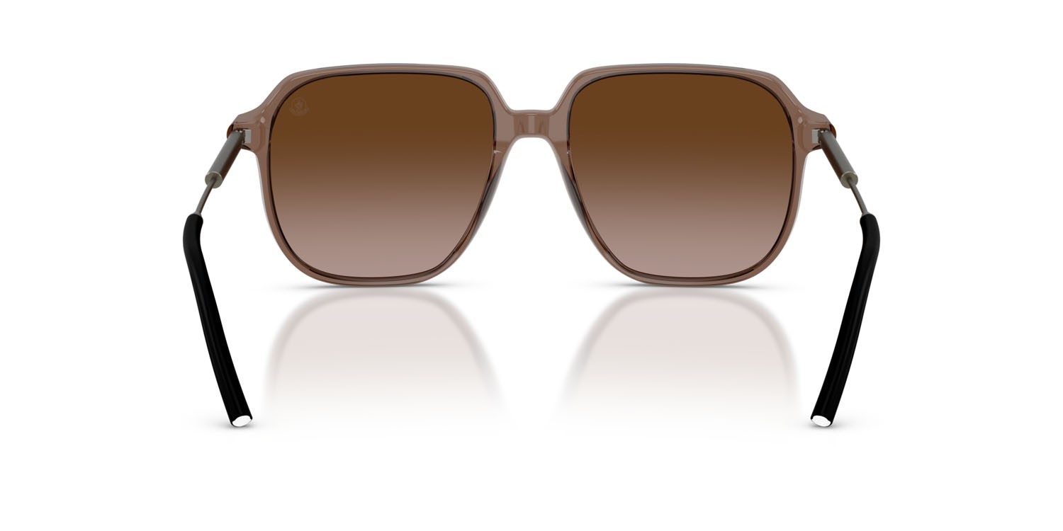 Occhiali da sole Moncler Cylin ME 6010 (301813) colore marrone trasparente lucido forma aviator lenti marrone sfumato