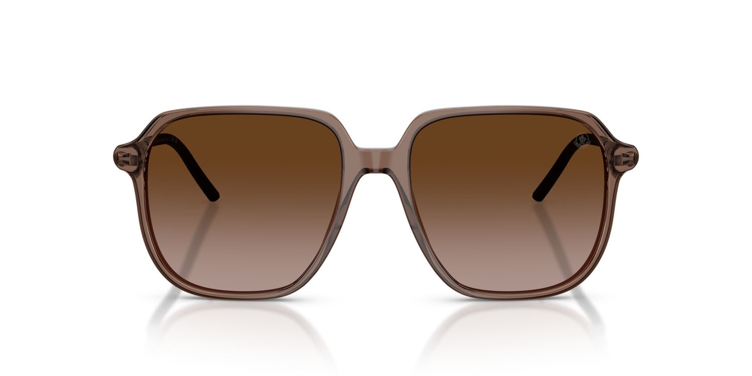 Occhiali da sole Moncler Cylin ME 6010 (301813) colore marrone trasparente lucido forma aviator lenti marrone sfumato