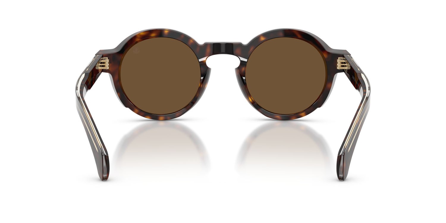Occhiali da sole Moncler Aurone ME 6012 (300273) colore havana scuro lucido forma rotondo lenti marrone tinta unita