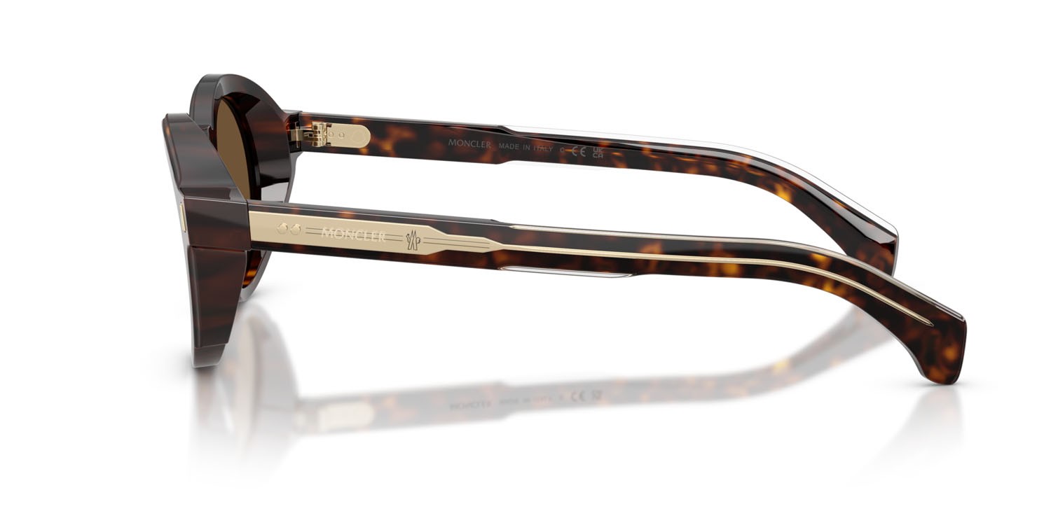 Occhiali da sole Moncler Aurone ME 6012 (300273) colore havana scuro lucido forma rotondo lenti marrone tinta unita