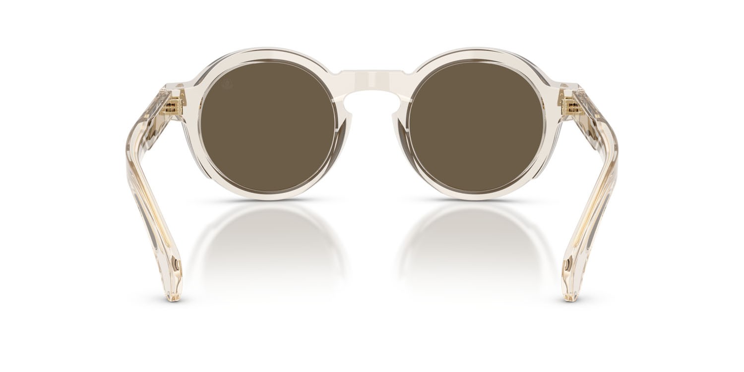 Sunglasses Moncler Aurone ME 6012 (30035A) color burro lucido trasparente shape round lenses mirror brown gold