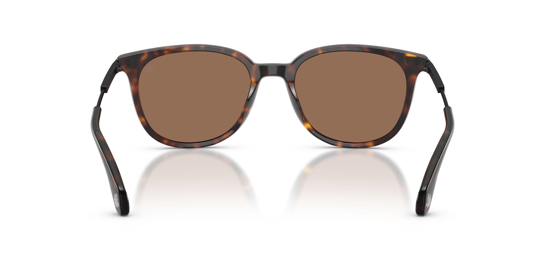 Sunglasses Moncler Korra ME 6013 (300273) color havana lucido shape oval lenses marrone tinta unita