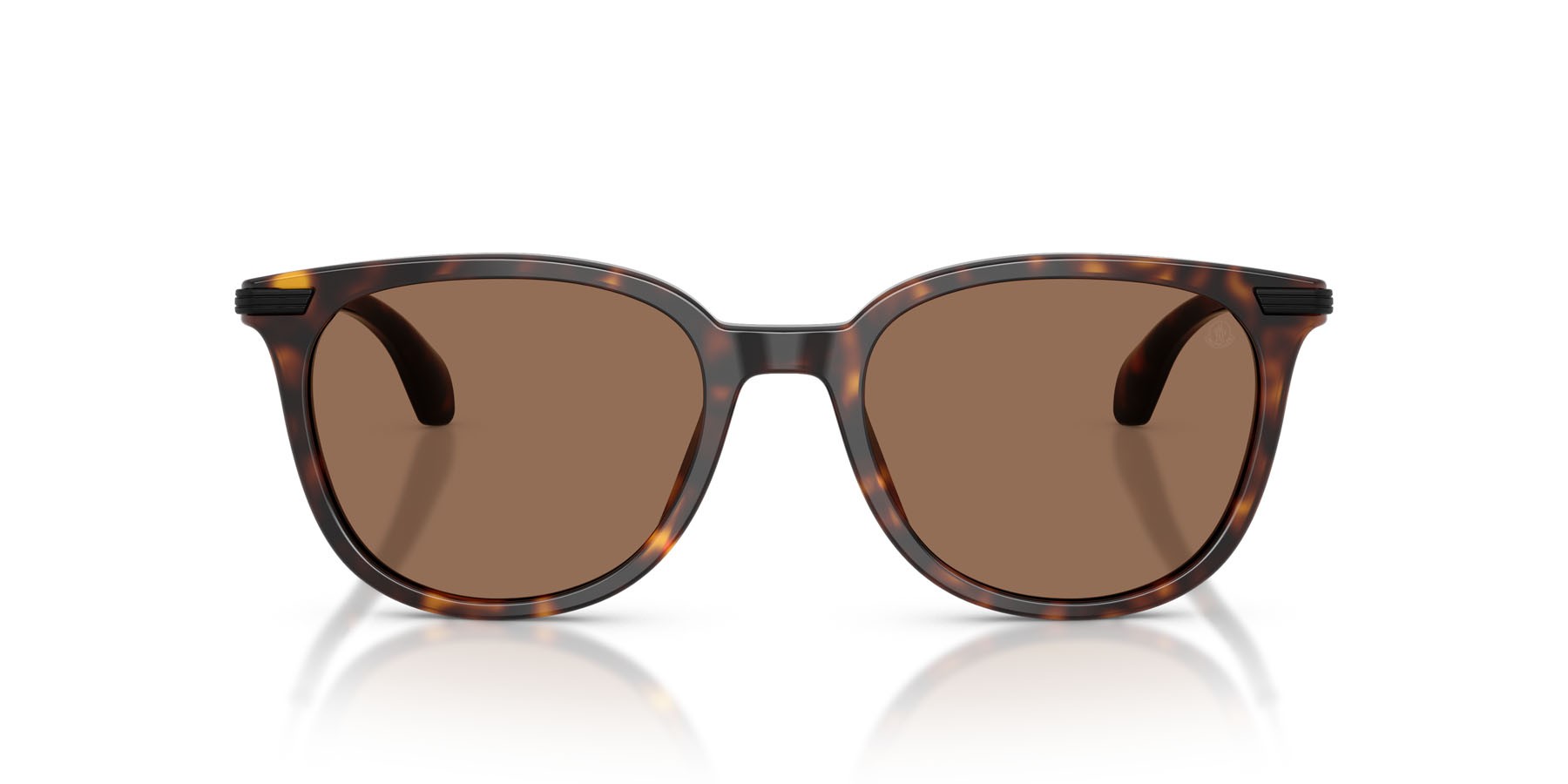 Sunglasses Moncler Korra ME 6013 (300273) color havana lucido shape oval lenses marrone tinta unita
