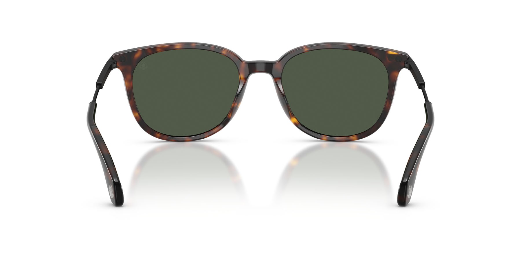 Occhiali da sole Moncler Korra ME 6013 (30029A) colore havana lucido forma ovale lenti polar solid green