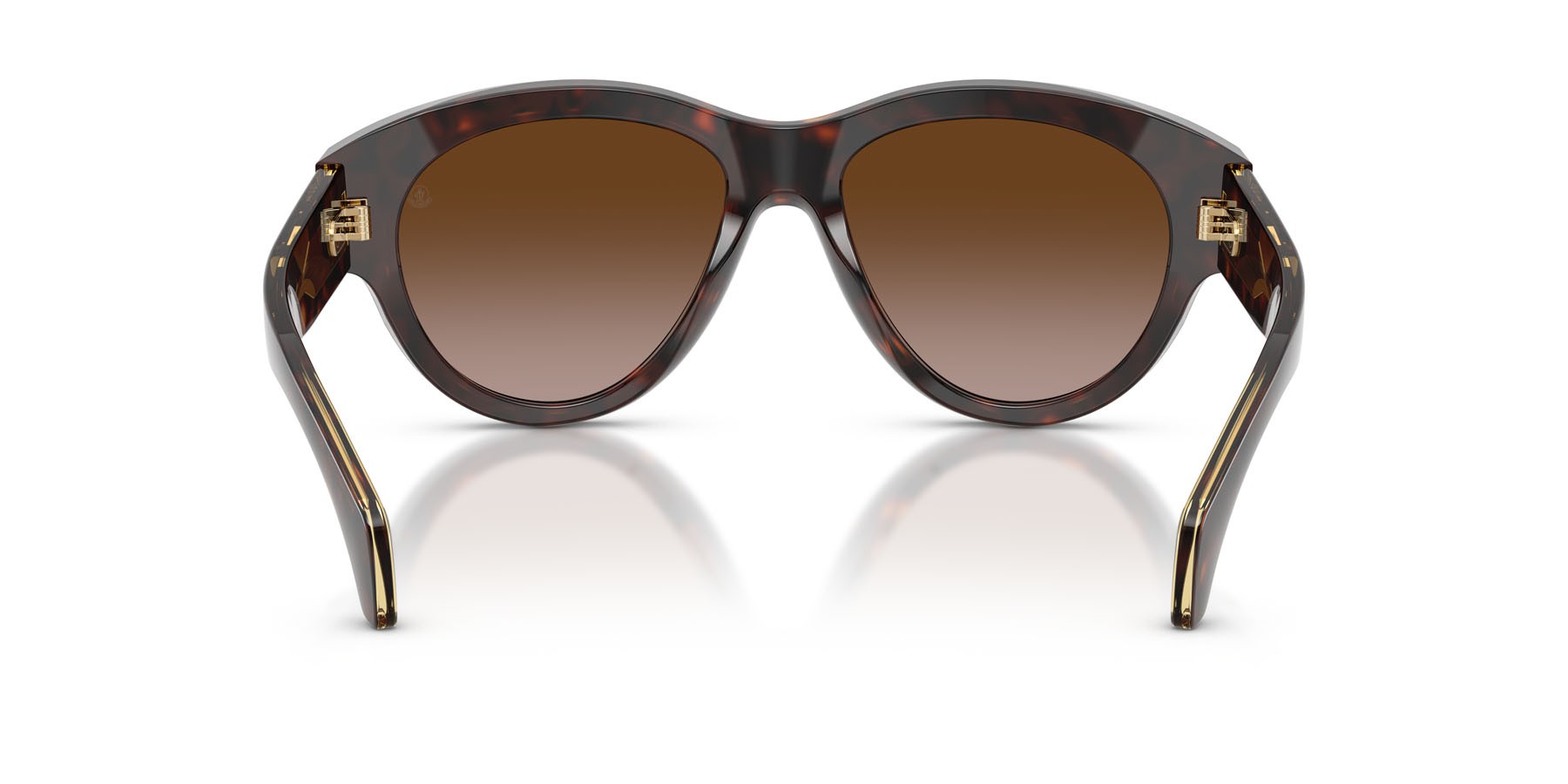 Sunglasses Moncler Chicane ME 6016U (300213) color havana lucido shape aviator lenses marrone sfumato