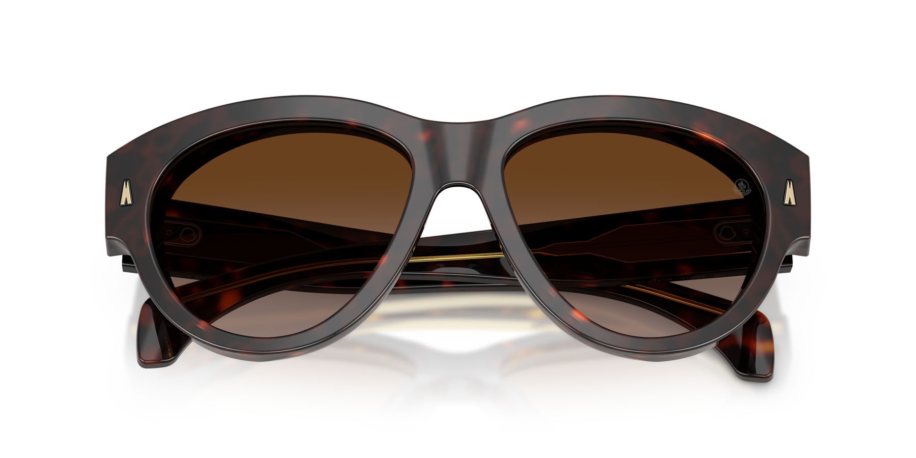 Sunglasses Moncler Chicane ME 6016U (300213) color havana lucido shape aviator lenses marrone sfumato