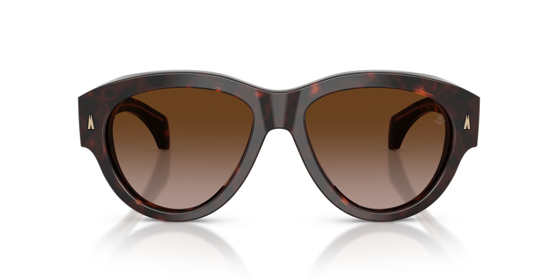 Sunglasses Moncler Chicane ME 6016U (300213) color havana lucido shape aviator lenses marrone sfumato