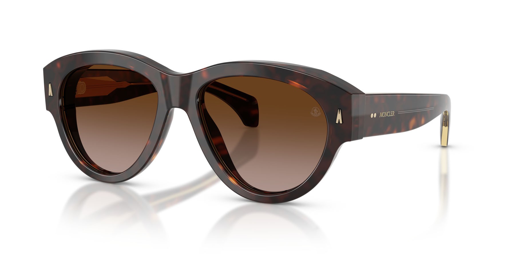 Sunglasses Moncler Chicane ME 6016U (300213) color havana lucido shape aviator lenses marrone sfumato