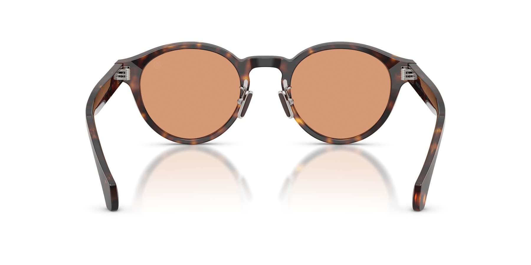 Sunglasses Moncler Ember ME 6017D (3002/7) color havana lucido shape round lenses marrone tinta unita