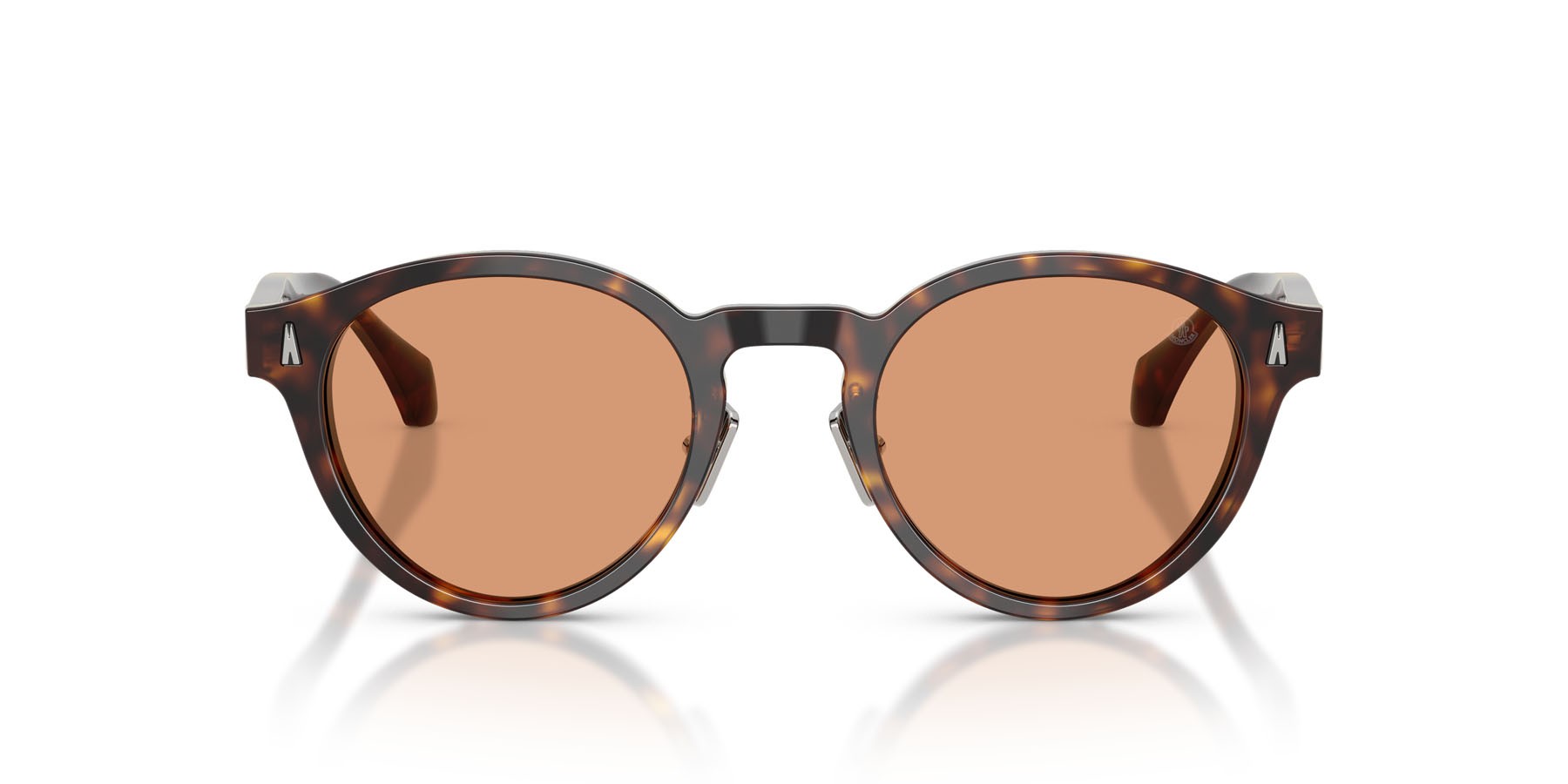 Sunglasses Moncler Ember ME 6017D (3002/7) color havana lucido shape round lenses marrone tinta unita