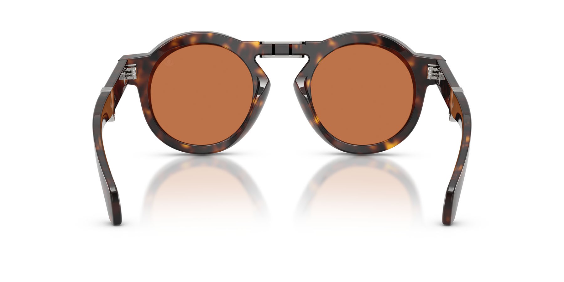 Occhiali da sole Moncler Glisse ME 6019U (300273) colore havana lucido forma rotondo lenti marrone tinta unita