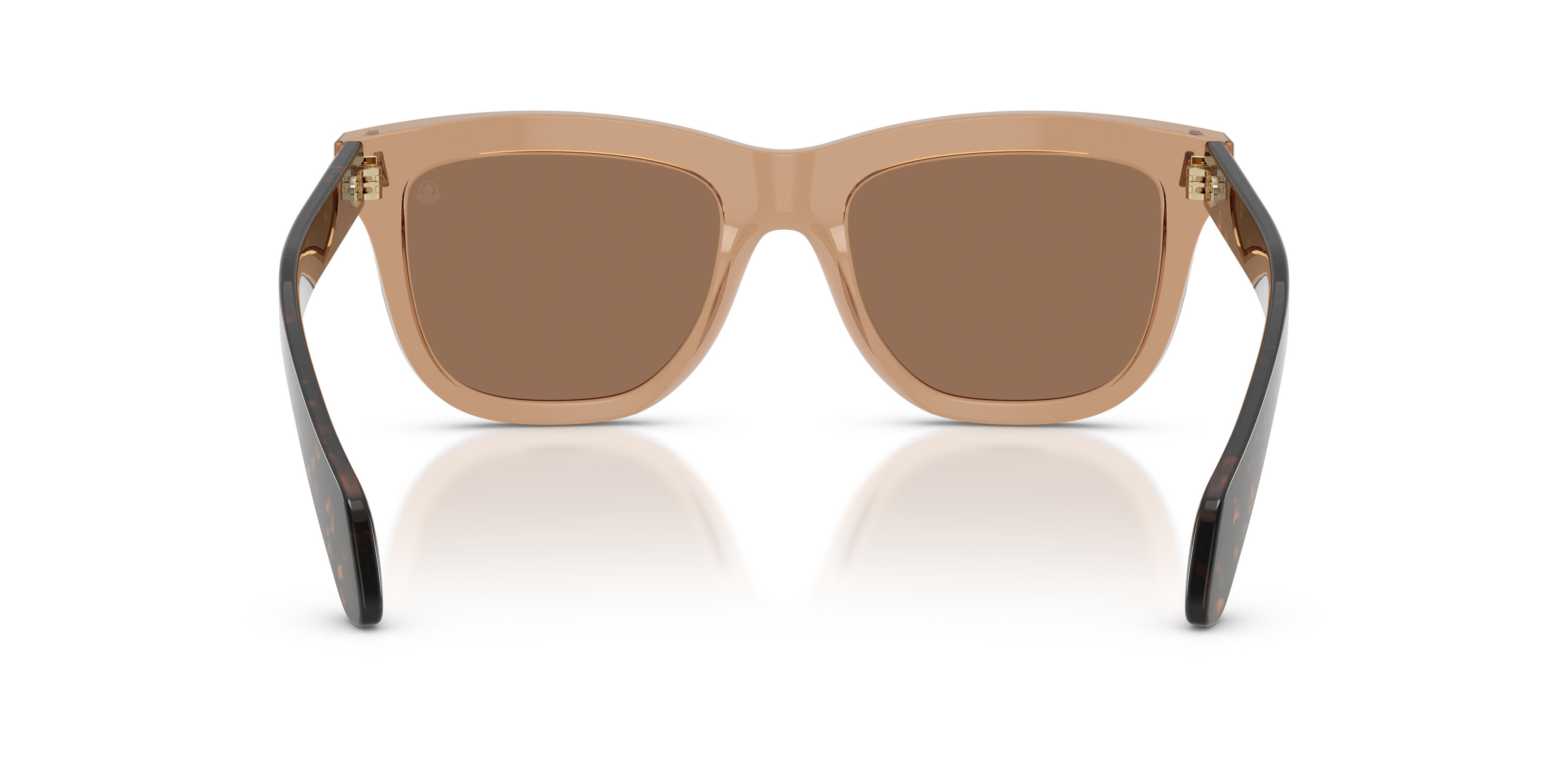 Occhiali da sole Moncler Bronzz ME 6023 (303773) colore marrone trasparente lucido forma quadrato lenti marrone scuro