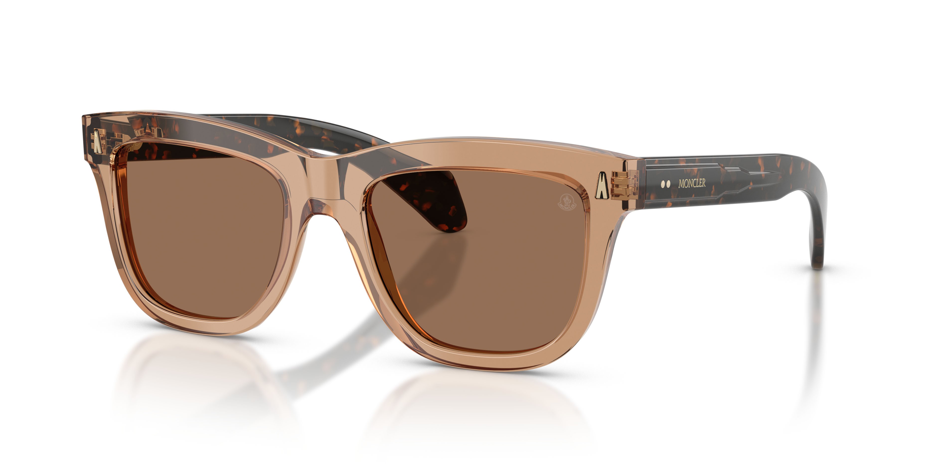 Occhiali da sole Moncler Bronzz ME 6023 (303773) colore marrone trasparente lucido forma quadrato lenti marrone scuro