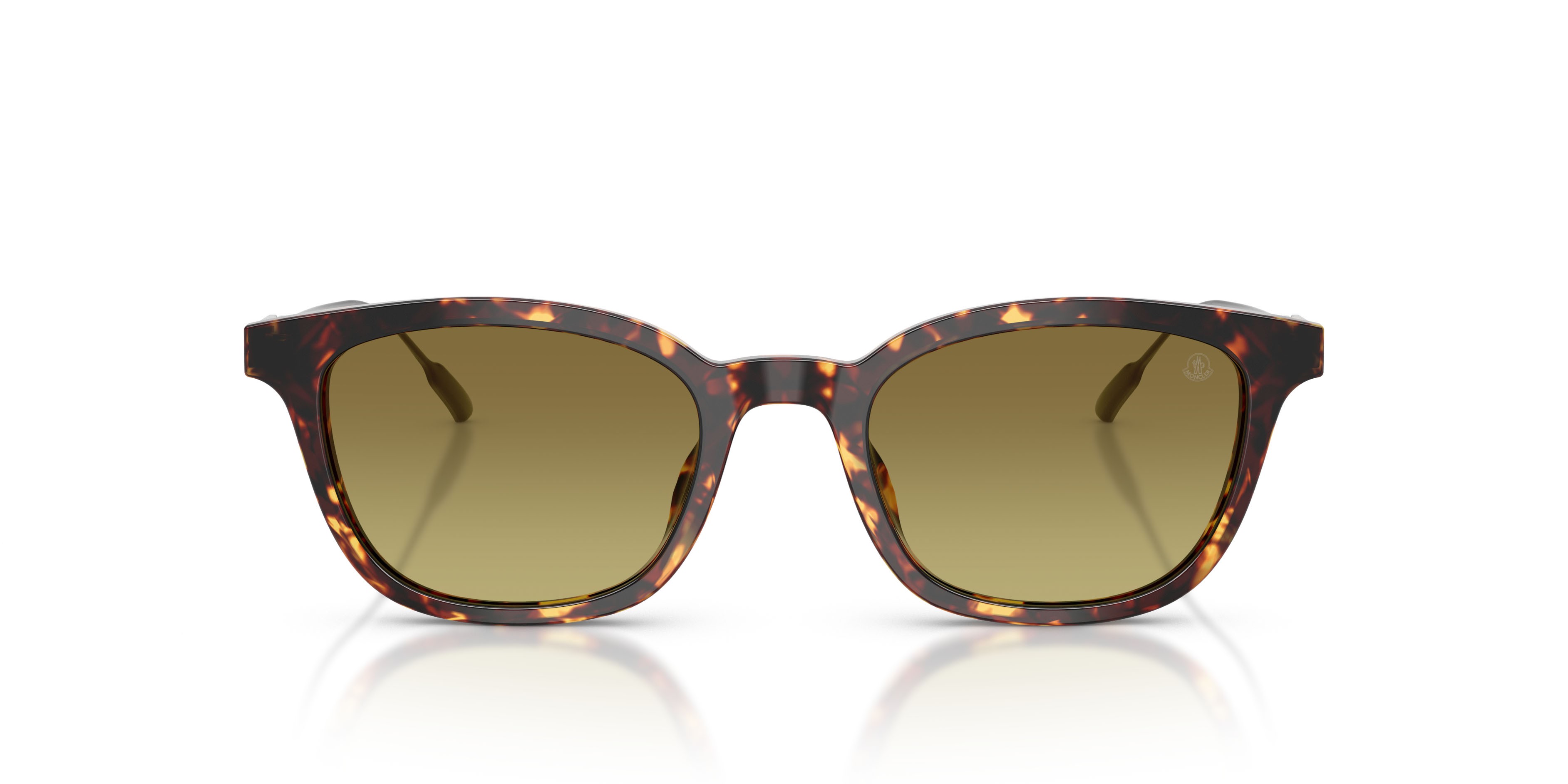 Occhiali da sole Moncler Lentis ME 6027D (30382A) colore marrone scuro tartarugato forma pantos lenti verde sfumato