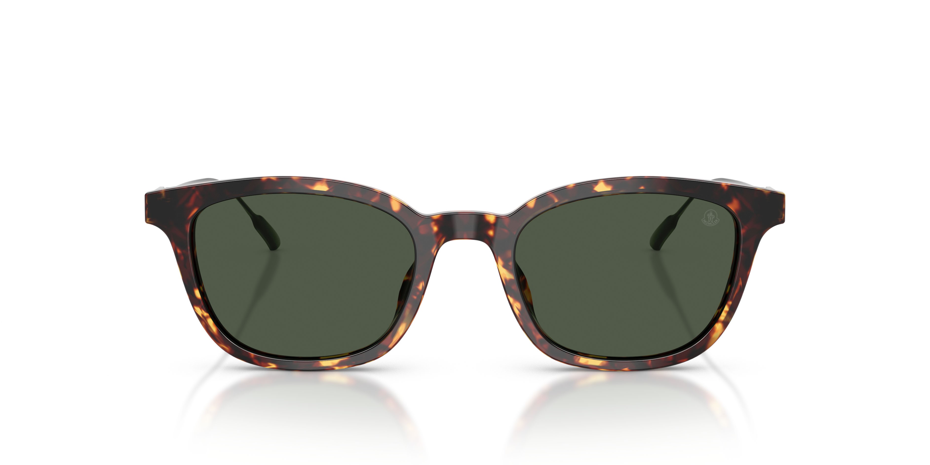 Occhiali da sole Moncler Lentis ME 6027D (30389A) colore marrone scuro tartarugato forma pantos lenti verde scuro