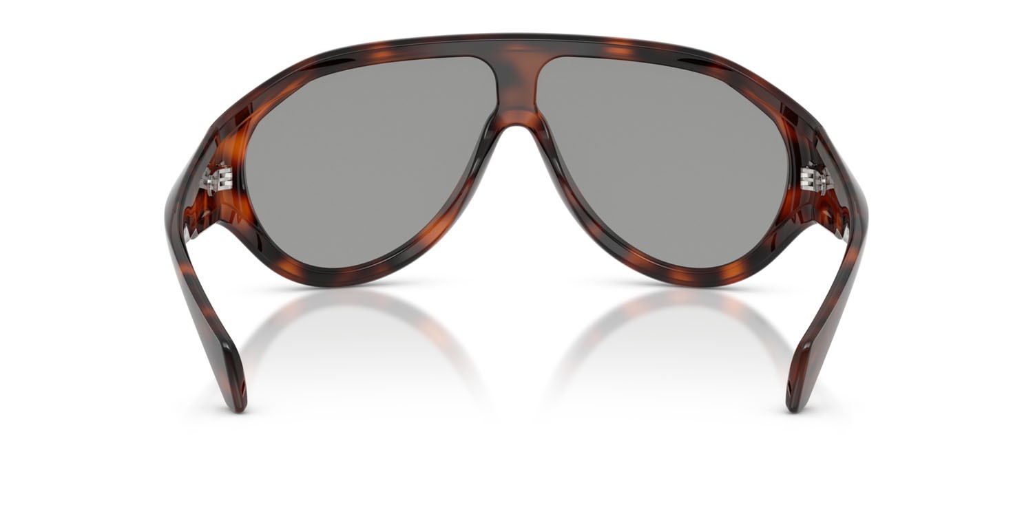 Sunglasses Moncler Bombolle ME 8009U (5026/1) color havana lucido shape oval lenses grigio chiaro tinta unita