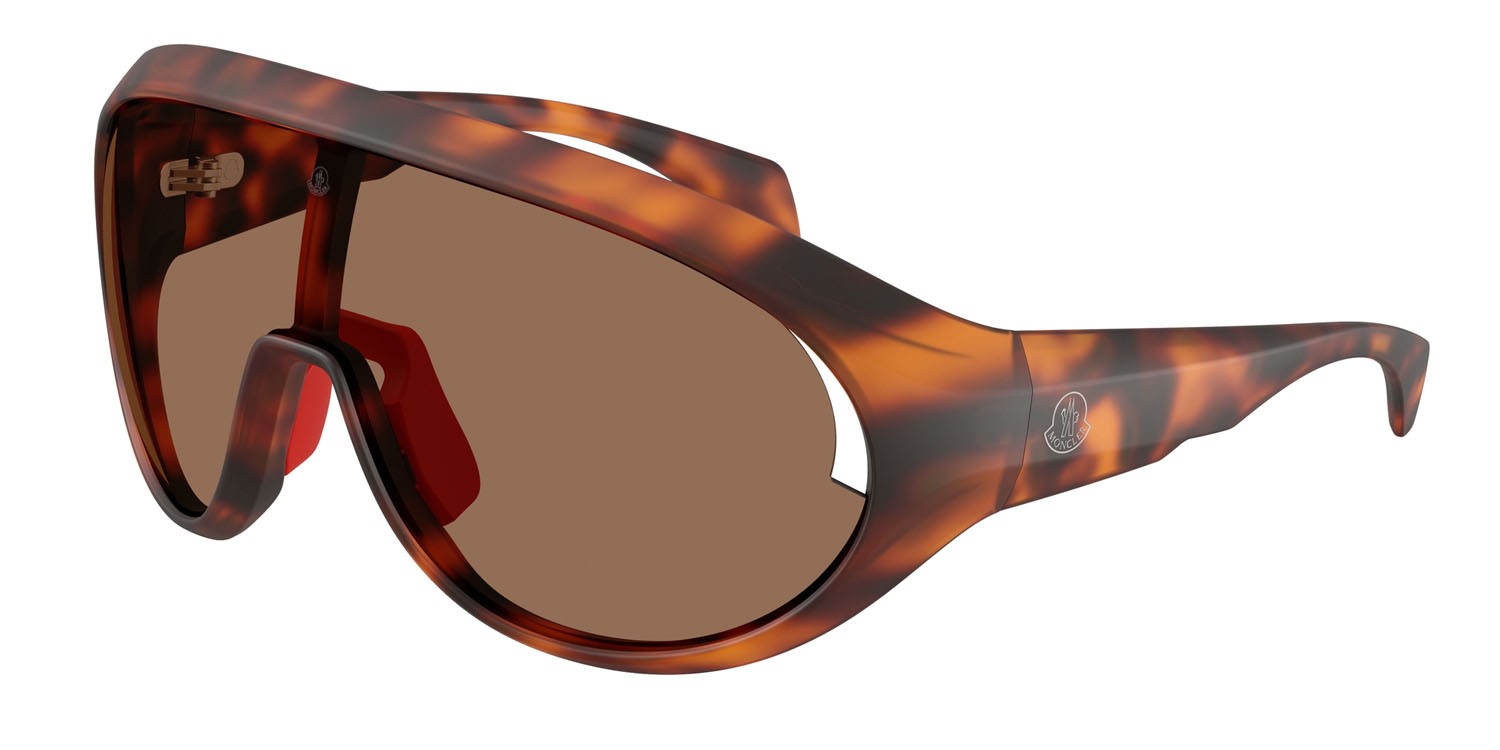 Sunglasses Moncler Contrast ME 8010 (502673) color havana opaco shape oval lenses marrone tinta unita