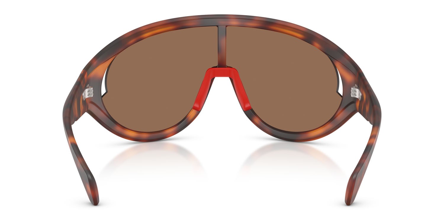 Sunglasses Moncler Contrast ME 8010 (502673) color havana opaco shape oval lenses marrone tinta unita