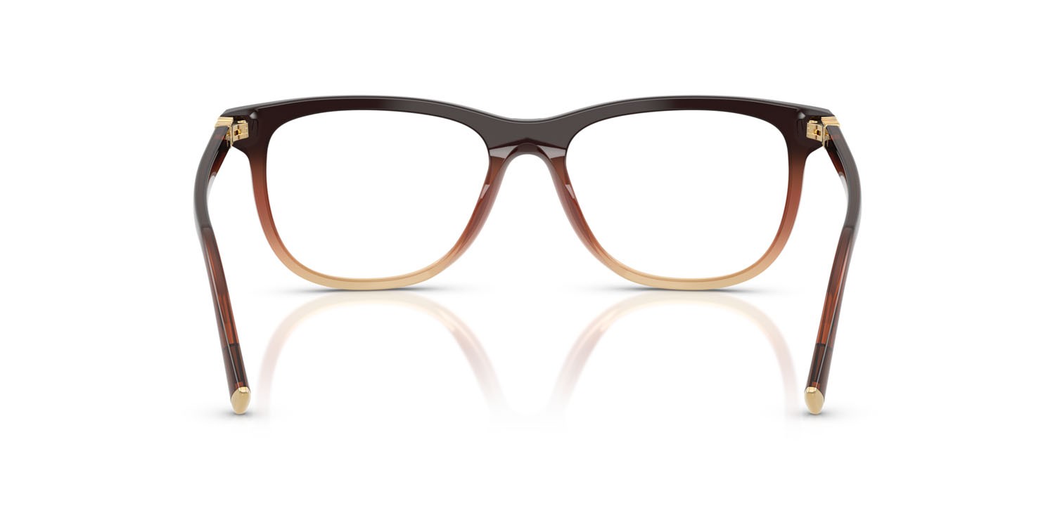 Eyeglasses Miu Miu MU 01WV (24C1O1) color marrone sfumato shape pantos lenses lente demo