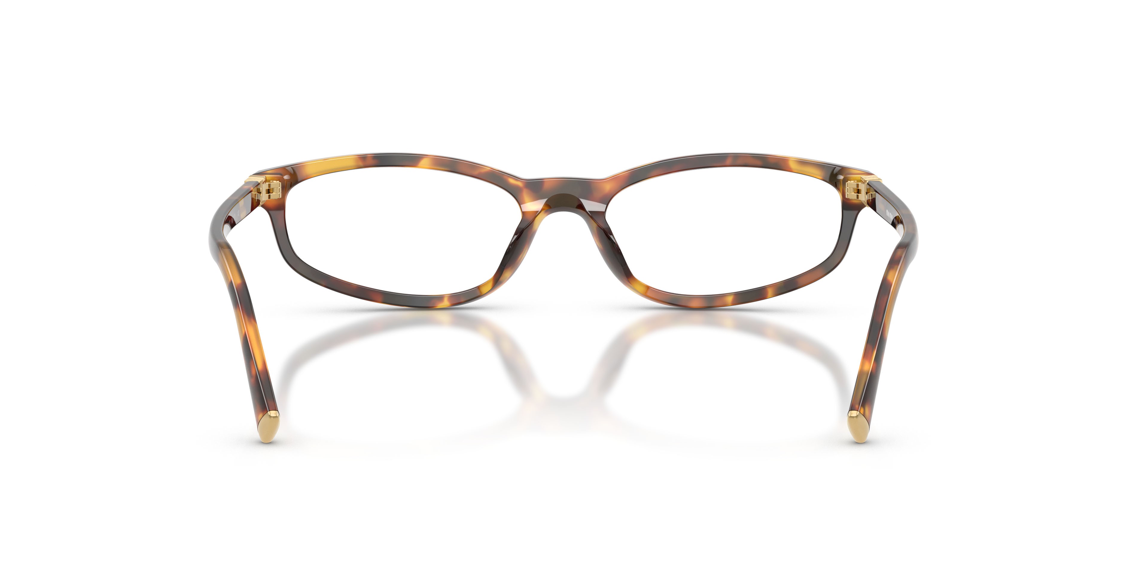 Eyeglasses Miu Miu MU 01ZV (14L1O1) color havana miele shape oval lenses lente demo