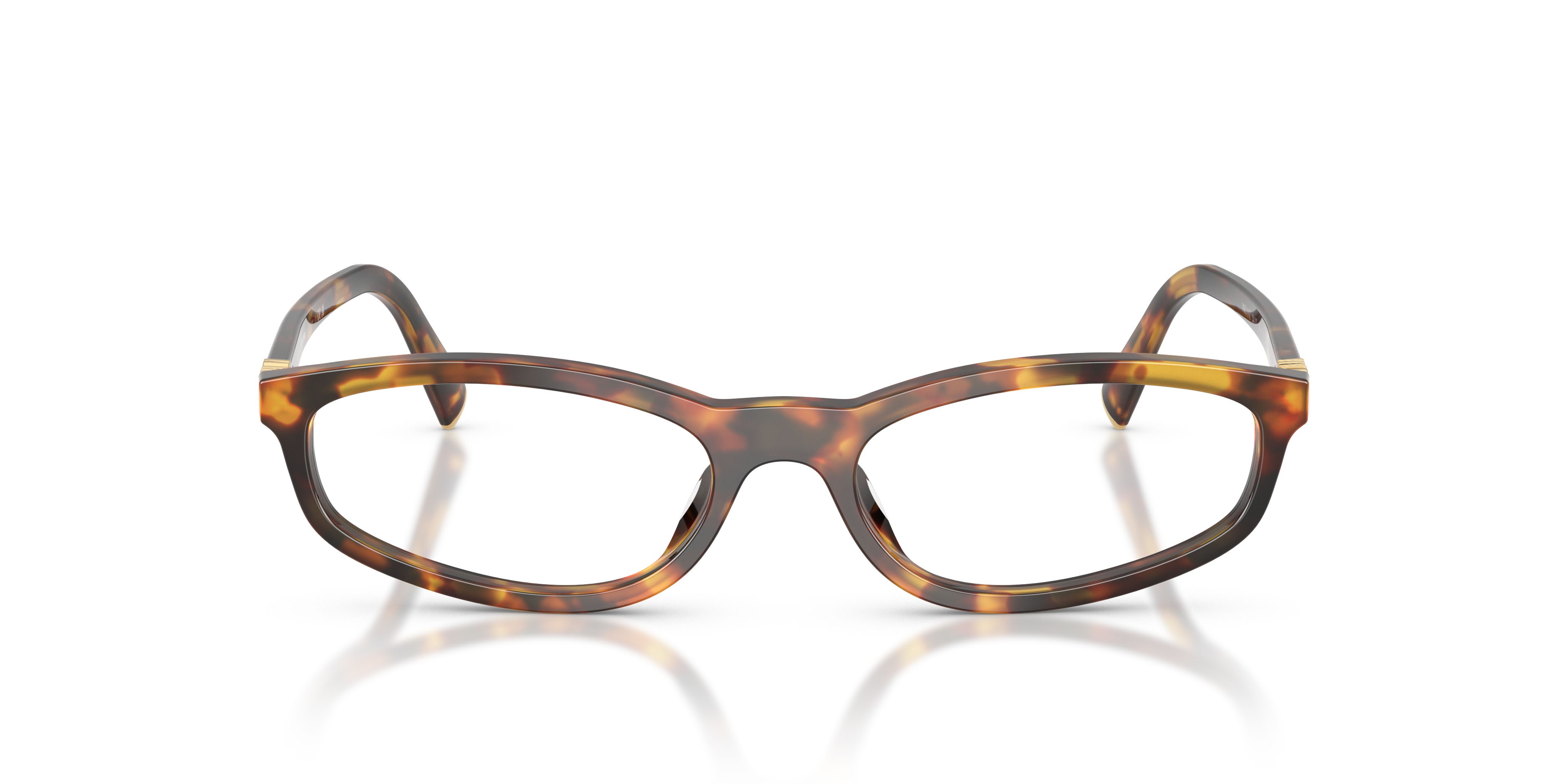 Eyeglasses Miu Miu MU 01ZV (14L1O1) color havana miele shape oval lenses lente demo