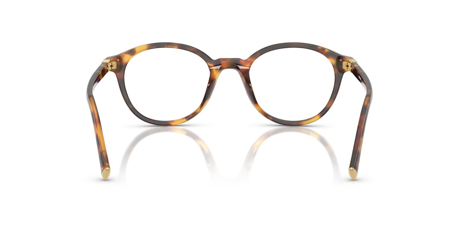 Eyeglasses Miu Miu MU 02WV (14L1O1) color havana miele shape round lenses lente demo