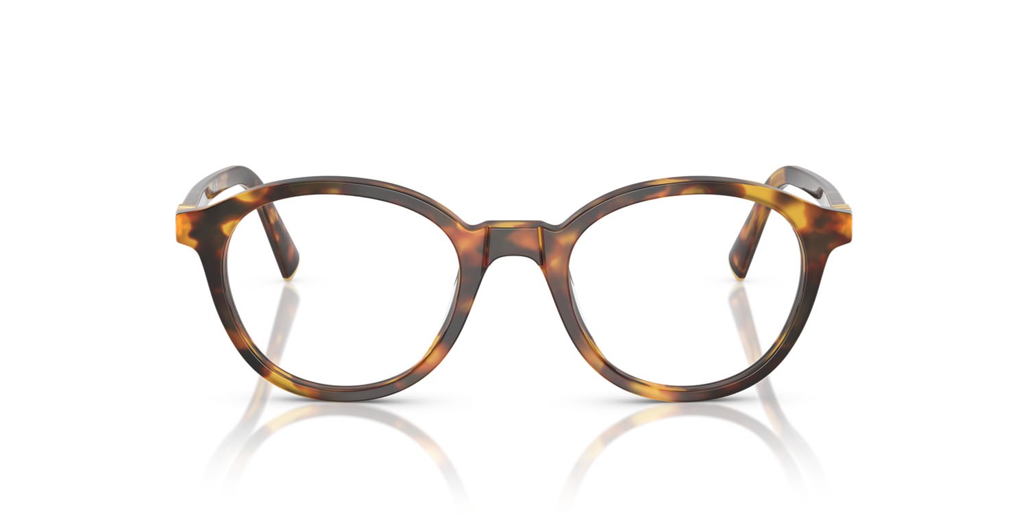 Eyeglasses Miu Miu MU 02WV (14L1O1) color havana miele shape round lenses lente demo