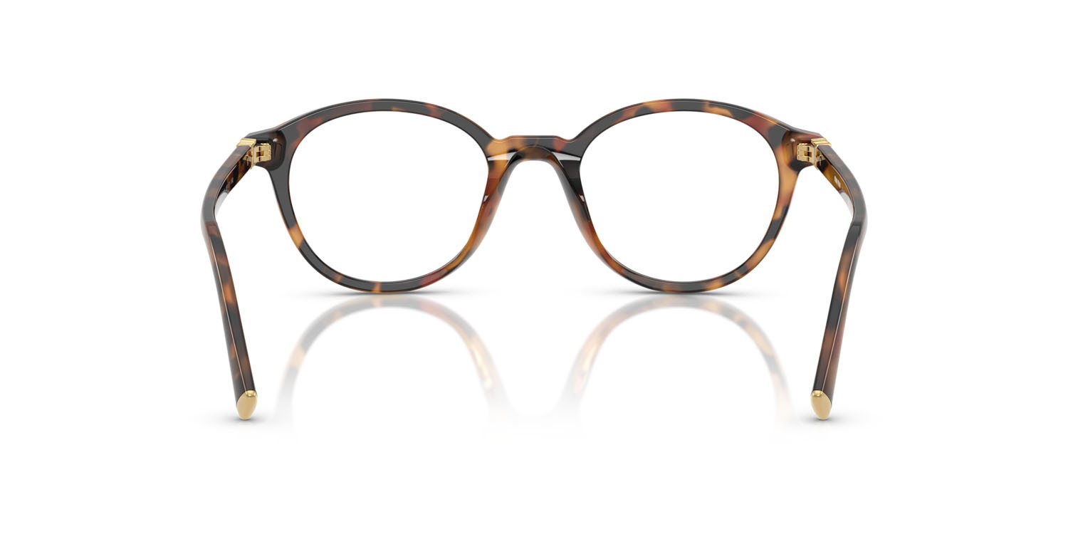 Eyeglasses Miu Miu MU 02WV (19P1O1) color verde edera havana shape round lenses lente demo