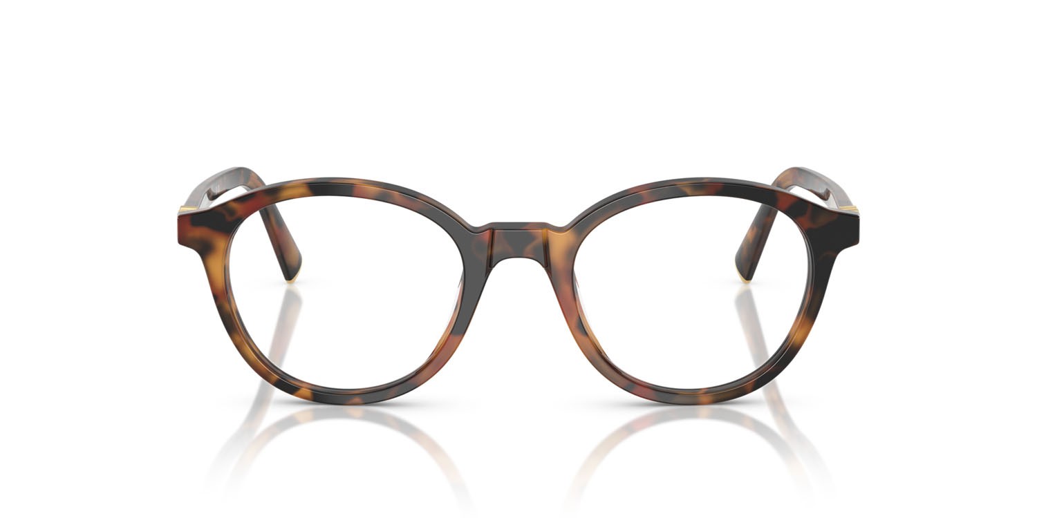 Eyeglasses Miu Miu MU 02WV (19P1O1) color verde edera havana shape round lenses lente demo
